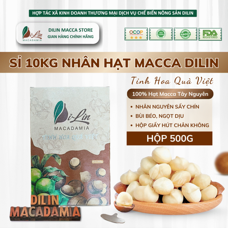 Macca DiLin - Nhân Hạt Macca Tây Nguyên Size Nhỏ/ Trung/ Vip - Hộp nâu 250g, 500g (Sỉ 10kg)