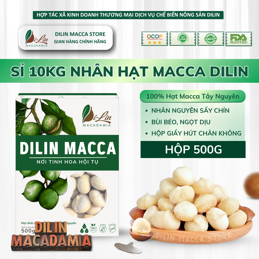 Macca DiLin - Nhân Hạt Macca Tây Nguyên Size Nhỏ/ Trung/ Vip - Hộp xanh ...