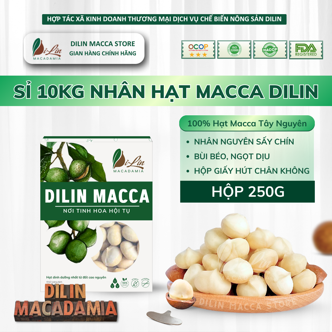 Macca DiLin - Nhân Hạt Macca Tây Nguyên Size Nhỏ/ Trung/ Vip - Hộp xanh ...