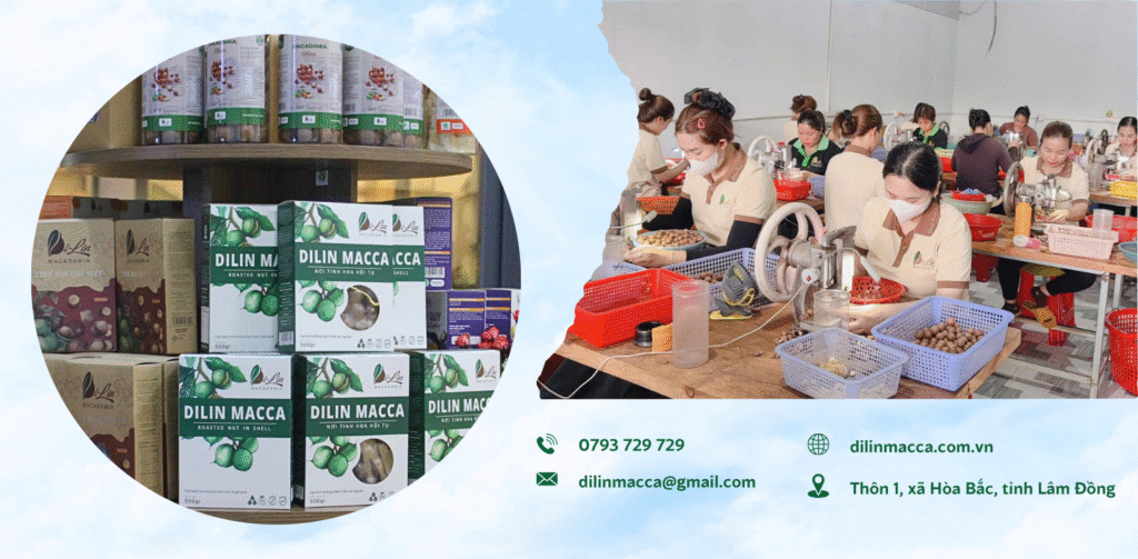 Dịch vụ OEM - Gia Công Sản Phẩm - DiLin Macadamia - Hạt Macca Tây Nguyên