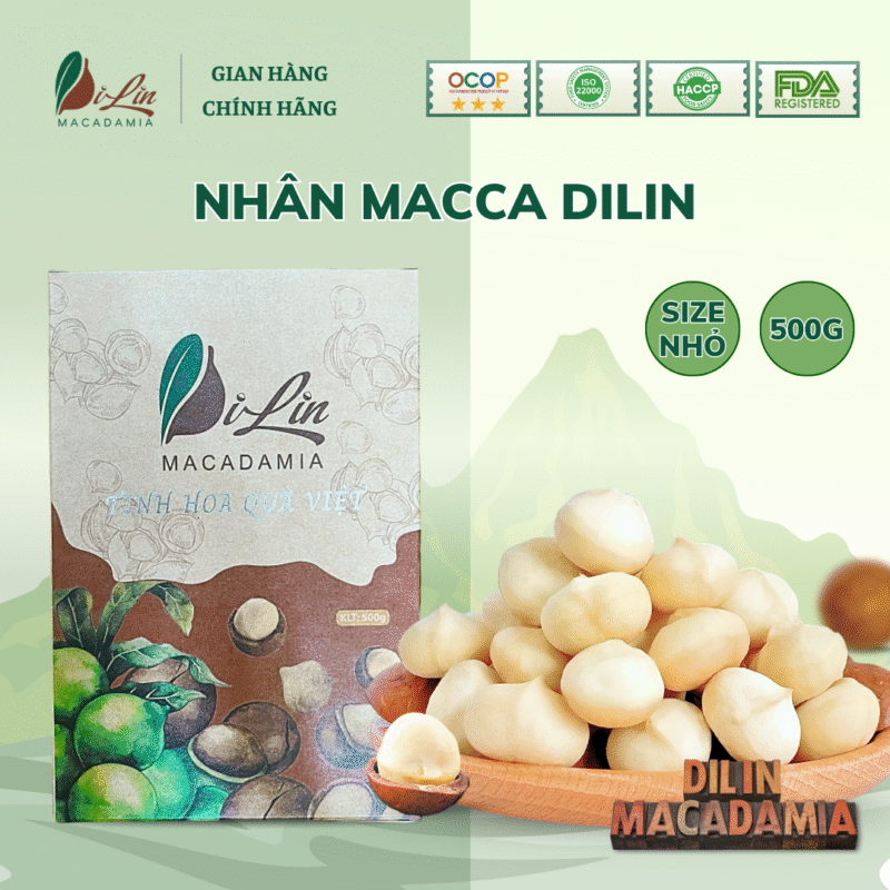 Macadamia Nuts, Nhân Macca DiLin size nhỏ (hộp nâu 500g)