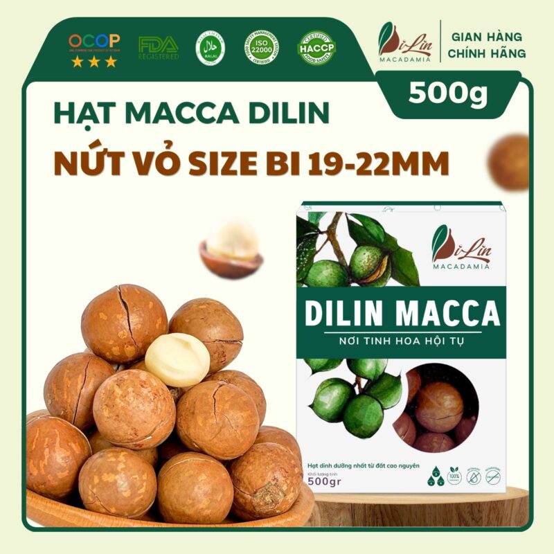 Hạt Macca DiLin Nứt Vỏ Size Bi (Hộp 500g)