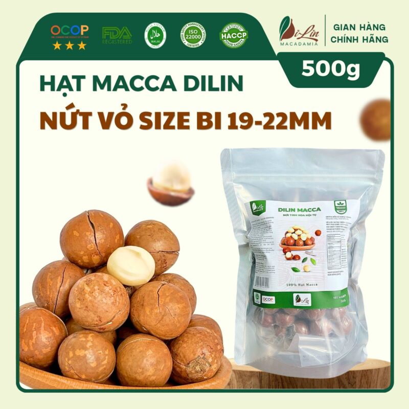 Hạt Macca DiLin Nứt Vỏ Size Bi (Túi 500g)