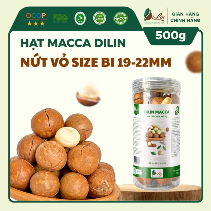 Hạt Macca DiLin Nứt Vỏ Size Bi (Lon 500g)