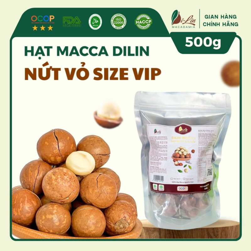Hạt Macca DiLin nứt vỏ size vip (túi 500g)