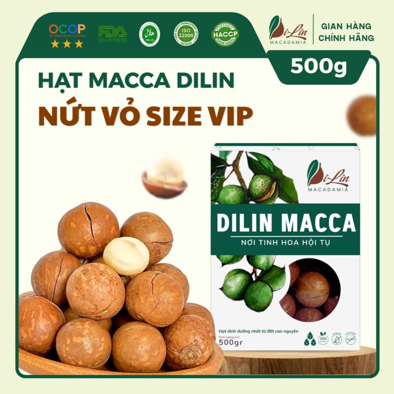 Hạt Macca DiLin nứt vỏ size vip (Hộp 500g)
