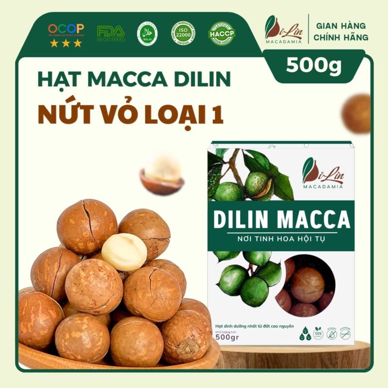 Hạt Macca DiLin nứt vỏ Loại 1 (Hộp 500g)